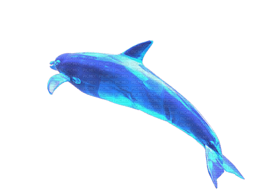 Dauphin